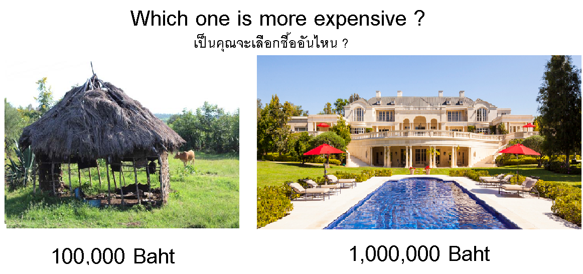 which-one-is-more-expensive
